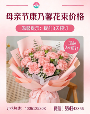 中山古镇花店母亲节康乃馨花束