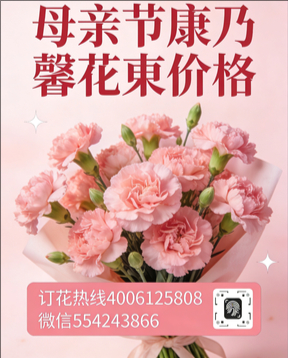 中山古镇花店母亲节康乃馨花束